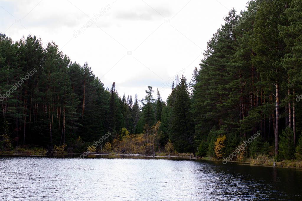 Beautiful panoramic view of big lake in the middle of the forest