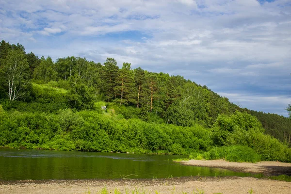 Красива Природа Річка Зелений Ліс Блакитне Небо — стокове фото