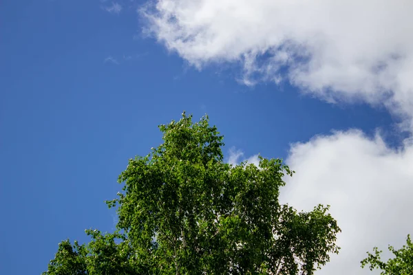 Cielo Azul Nubes Fondo Hermoso Paisaje Con Nubes Cielo — Foto de Stock