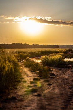 Su birikintileri ve araba izleriyle batan güneşe doğru uzanan dar, çamurlu bir yol. Buğday ya da çavdar tarlasında, güneşe karşı. 1