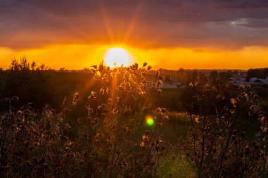 Tarlada güzel pembe ve turuncu gün batımı. Ateşli, parlak bir gün batımı.