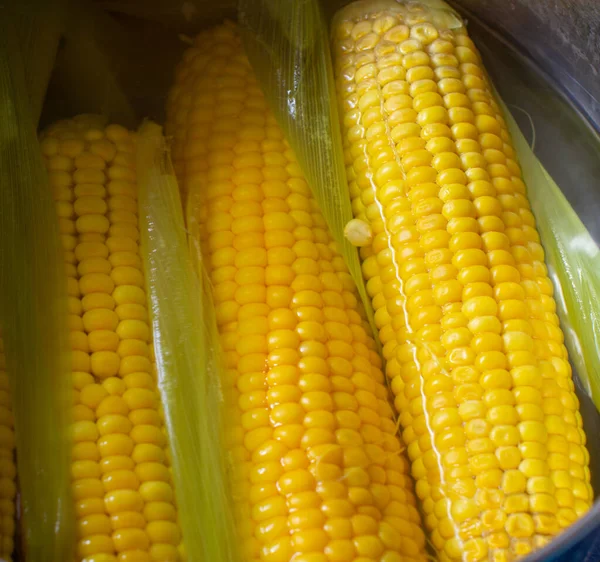 Boiled Corn Cob Saucepan Boiling Water Close — Stock Photo, Image