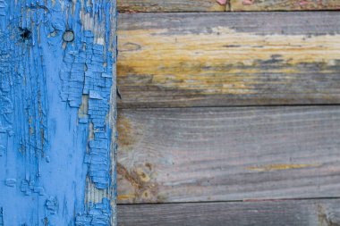 Tahtadaki eski mavi boya. Eski tahtalardan yapılmış ahşap bir arka plan. Düz işlenmiş tahtalardan yapılmış eski bir ahşap çitin dokusu. Arkaplan tasarımı