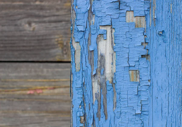 Blue old paint on the Board. Wooden background made of old boards. The texture of an old rustic wooden fence made of flat processed boards. Background design