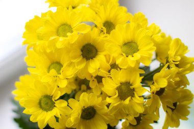 Farklı bir arkaplanda bukette sarı kasımpatı. Yüksek kalite fotoğraf