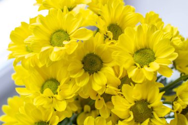 Farklı bir arkaplanda bukette sarı kasımpatı. Yüksek kalite fotoğraf