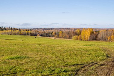 Sonbaharda tarlada saman balyaları. Gökyüzü tarımsal alan. Panorama. Çiftliklerin kırsal doğası. Çayırda saman var. Kırsal doğal manzara. Tahıl hasadı ve hasat..