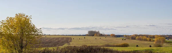 Balles Foin Dans Champ Automne Champ Agricole Avec Ciel Panorama — Photo