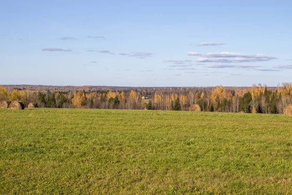 Balles Foin Dans Champ Automne Champ Agricole Avec Ciel Nature — Photo