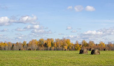 Sonbaharda tarlada saman balyaları. Gökyüzü ve bulutlu tarım alanı. Çiftliklerin kırsal doğası. Çayırda saman var. Kırsal doğal manzara. Tahıl hasadı ve hasat..