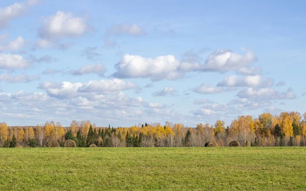 秋には野球場で休憩 空と雲と農業分野 農場の農村部の性質 牧草地に藁 田舎の自然風景 穀物の収穫と収穫 — ストック写真