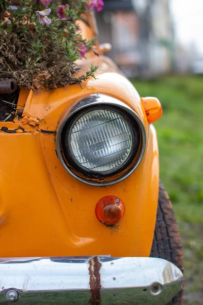 An old yellow car with round headlights and an open hood like a flower bed stands outside a flower s Old Yellow Car Headlights Open Hood Flower Bed Stands Flower Royalty Free Stock Photos