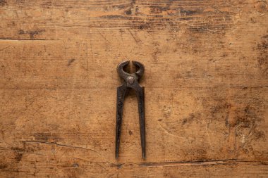 Ahşap bir arka planda Toynak Pensesi