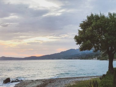 Yunanistan 'da güzel bir gün batımı, bulutlar, küçük dalgalar ve sahnede bir ağaç.