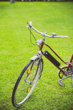 Bahçenin arka bahçesindeki çimlerin üzerinde eski bir bisiklet.