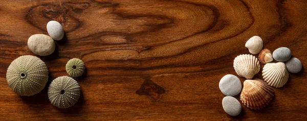 Seekiesel Mit Muscheln Auf Dunklem Holz Als Hintergrund — Stockfoto