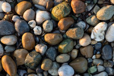 Farklı Renk Taşları 'ndan Doğa Arkaplanı Yaz Saati