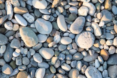 Gri Deniz Taşı Çakıl Taşları 'ndan Doğa Arkaplanı, Yaz Zamanı