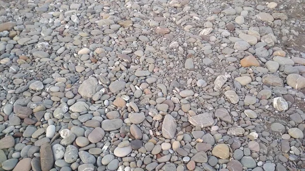 鹅卵石 天然灰石 — 图库照片