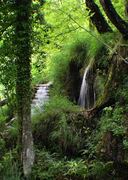 Parque Nacional Plitvice Lagos Reserva Florestal 295 Km2 Localizado Parte — Fotografia de Stock