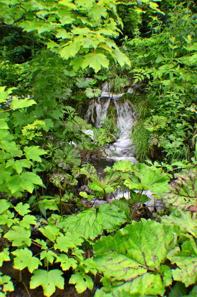 Parque Nacional Plitvice Lagos Reserva Florestal 295 Km2 Localizado Parte — Fotografia de Stock