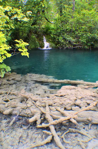 Parque Nacional Plitvice Lagos Reserva Florestal 295 Km2 Localizado Parte — Fotografia de Stock