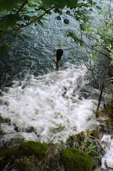 Nationalpark Plitvice Seen Das Waldgebiet Von 295 Km2 Befindet Sich — Stockfoto