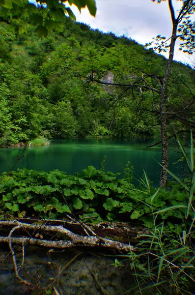 Plitvicei Tavak Nemzeti Park 295 Km2 Területű Horvátország Középső Részén — Stock Fotó