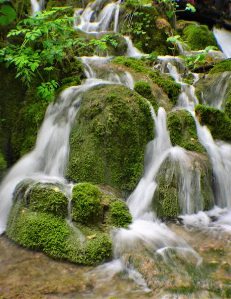 Parque Nacional Plitvice Lagos Reserva Florestal 295 Km2 Localizado Parte — Fotografia de Stock