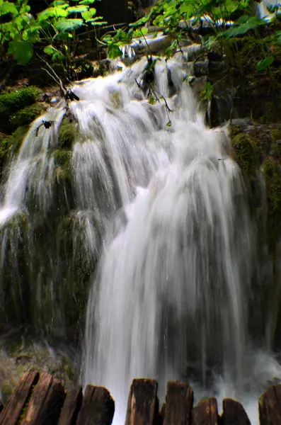 Milli Park Plitvice Göller Hırvatistan Orta Kesiminde Bulunan 295 Km2 — Stok fotoğraf