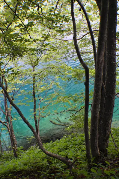 Parque Nacional Plitvice Lagos Reserva Florestal 295 Km2 Localizado Parte — Fotografia de Stock