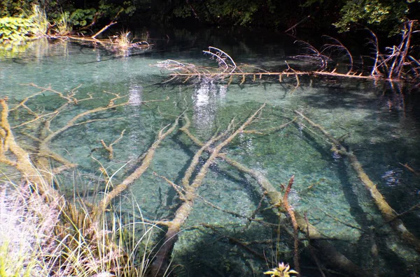 Parco Nazionale Laghi Plitvice Riserva Forestale 295 Km2 Situato Nella — Foto Stock