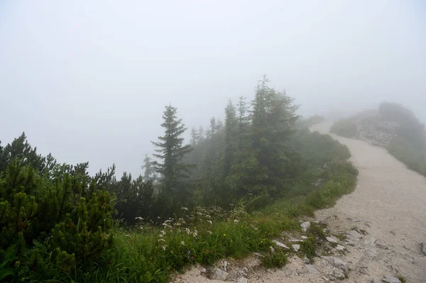 Siste Alpleri'nde dağ manzarası