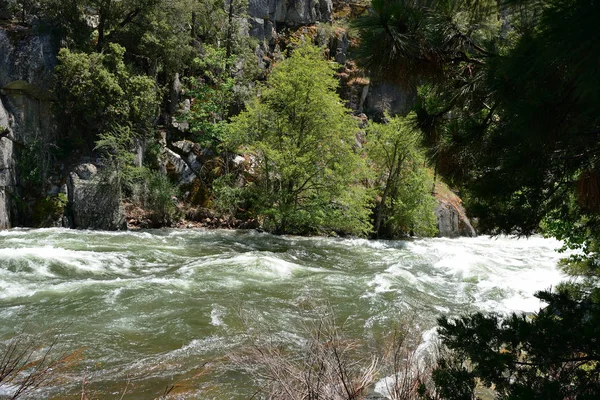Mountain river in Kings Canyon National Park, California, USA