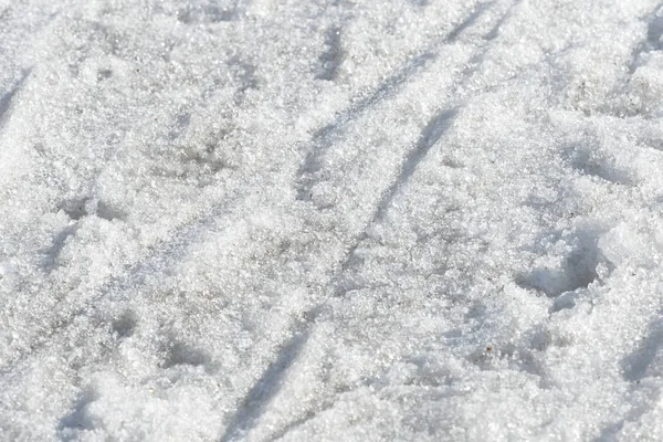 早春の雪の背景と質感をクローズアップ — ストック写真