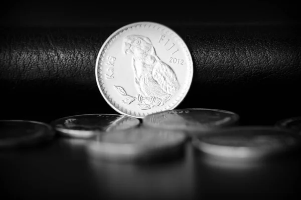 Twenty fijian cents on a dark background close up. Black and white