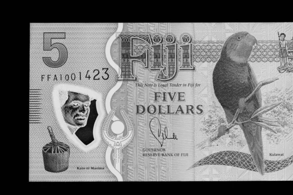 Five Fijian dollars banknote on a black background close up. Black and white