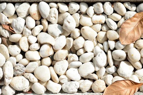 Small white pebbles close up. Natural abstract background