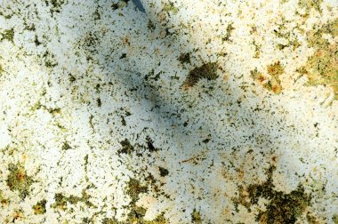 Eski paslı demir levha yakın çekim. Soyut grunge arka plan