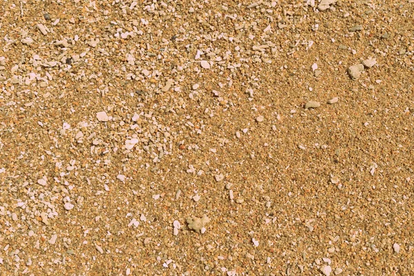Coral sand on the beach close up. Natural abstract background