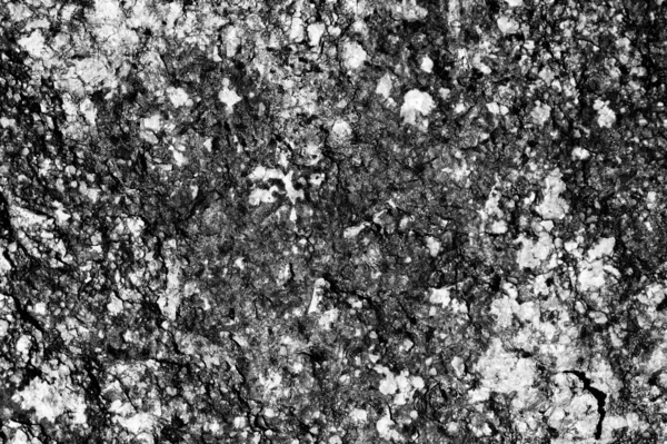 Seashore stone texture close-up. Monochrome natural abstract background