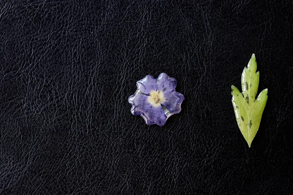 Epoxy resin coated flower and leaf closeup on a dark background. Elements for handmade jewelry made of resin and natural material. Top view, copy space