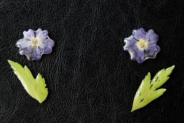 Flowers and leaves drenched with epoxy resin close-up on a dark background. Elements for handmade jewelry made of resin and natural material. Top view, copy space