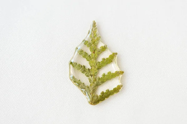 Thuja tree leaf filled with epoxy resin on a white textile background close-up. The basis for a pendant or earrings. Handmade jewelry in the manufacturing process. Top view, copy space