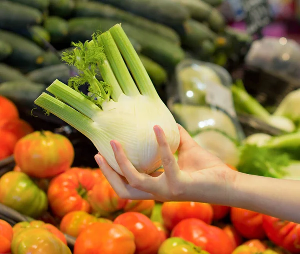 Female hand choosing fennel in supermarket. Concept of conscious choice of healthy food.