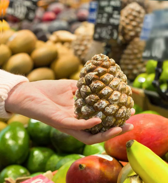 Жіноча Рука Вибирає Сосновий Конус Супермаркеті Концепція Здорової Їжі Біо — стокове фото