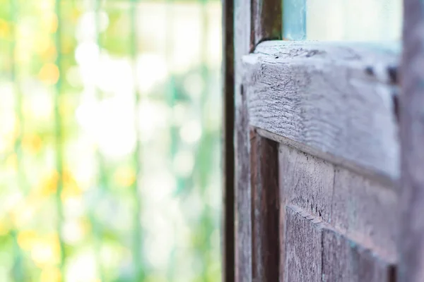 View Old Window Plants Selective Focus — Stock Photo, Image