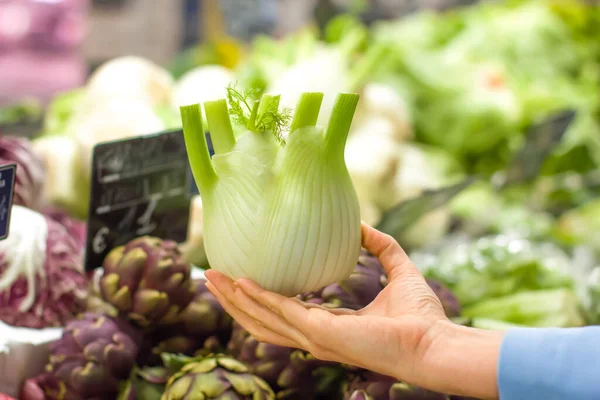 Female hand choosing fennel in supermarket. Concept of healthy food, bio, vegetarian, diet.