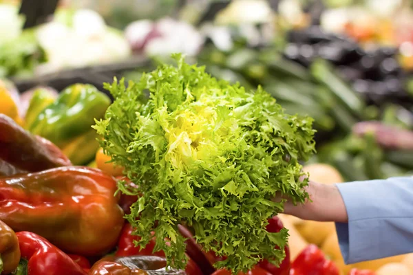 Weibliche Hand Wählt Salat Supermarkt Konzept Der Gesunden Ernährung Bio — Stockfoto