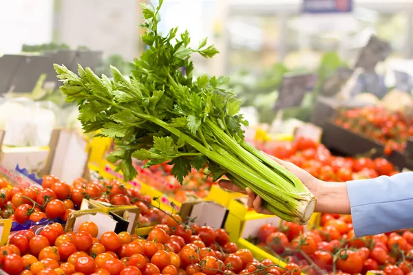 Kvinnlig Hand Väljer Selleri Snabbköpet Begreppet Hälsosam Mat Bio Vegetariskt — Stockfoto